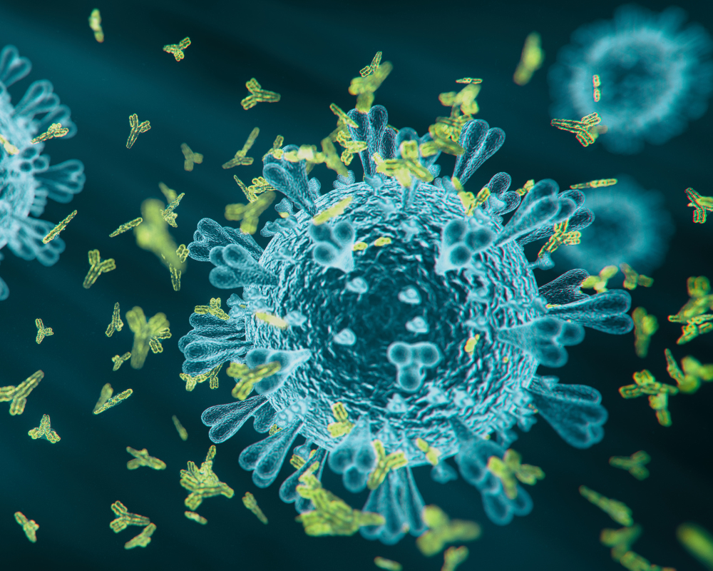 A Therapeutic Battle Antibodies vs. Aptamers neoaptamers